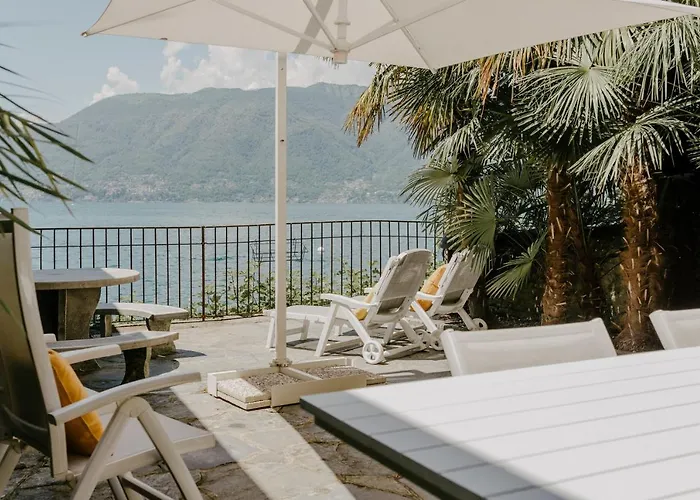 Amatissima By Porta Collection *